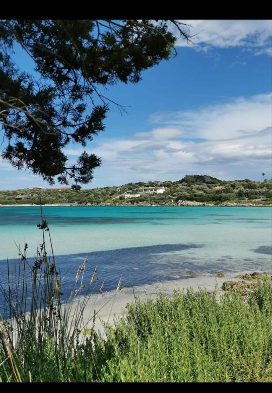 B&B Marina Olbia Exteriér fotografie